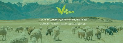 موقع حياة نباتية