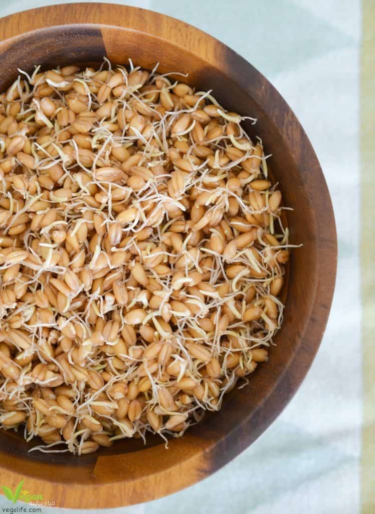 عشرة فوائد لتناول القمح المبرعم مع طريقة تحضيره.