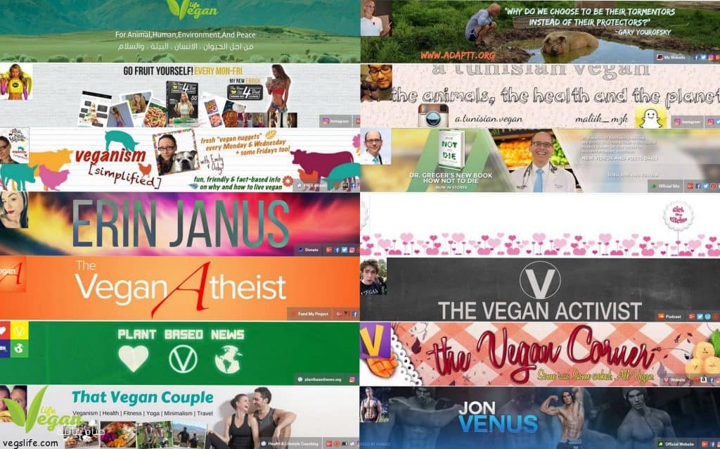 أفضل 16 قناة يوتيوب نباتية