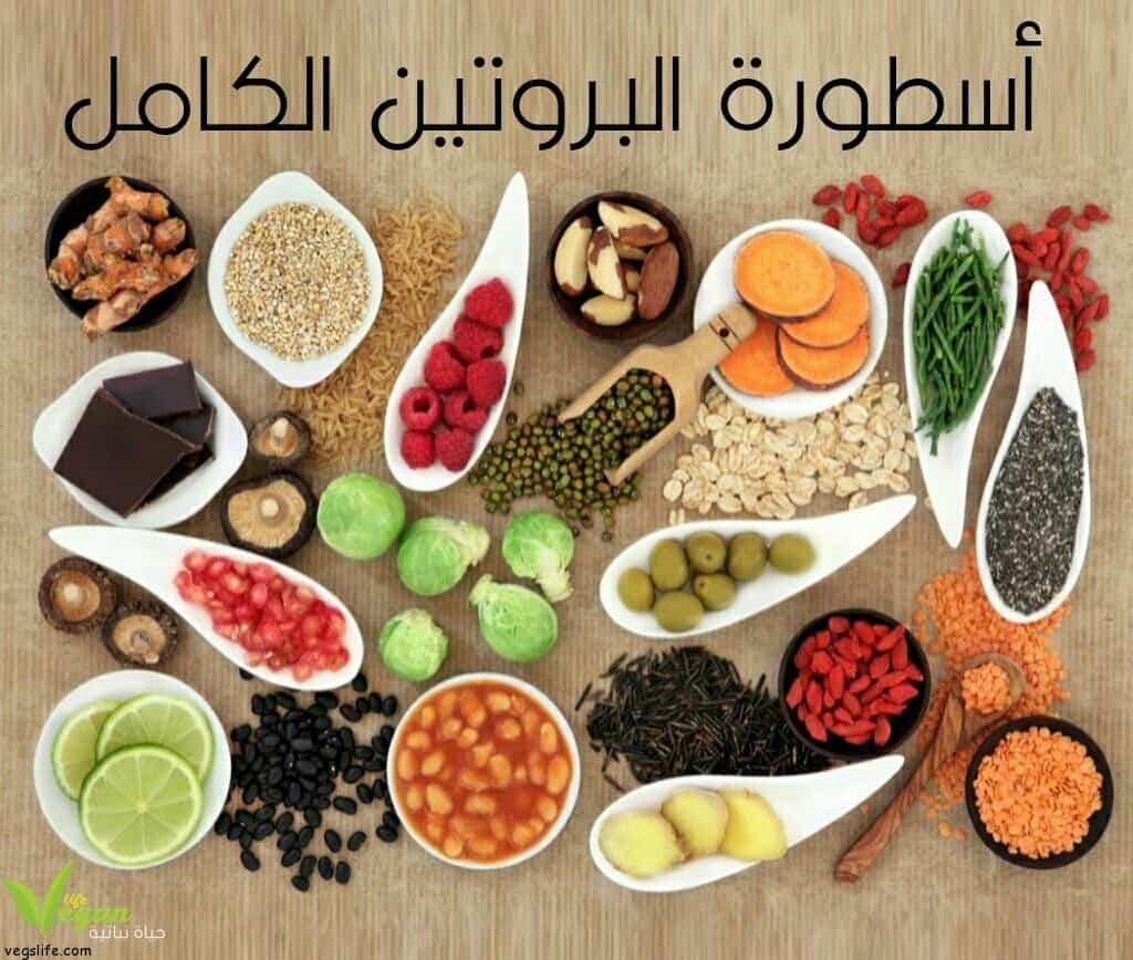 اسطورة البروتين الكامل، البروتين الحيواني والنباتي