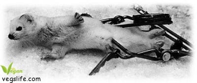 14022198_955357761258206_819772854606477174_n