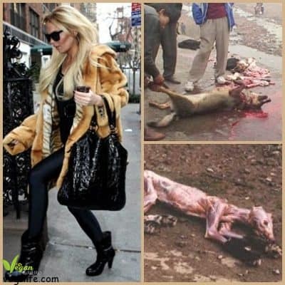 14088400_955357977924851_746539482580450627_n