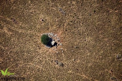 14292353_977124805748168_6274225994852851214_n