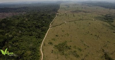 14364788_977125289081453_1841248226879294416_n