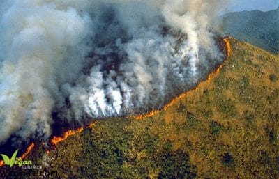 14368744_977124975748151_2509984064010253948_n