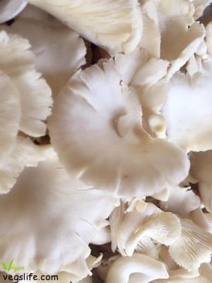 طريقة تحضير ستروغونوف الفطر النباتي بصلصة الكاجو