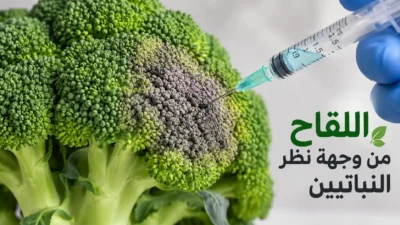 هل اللقاحات نباتية؟ اللقاح من وجهة نظر النباتيين