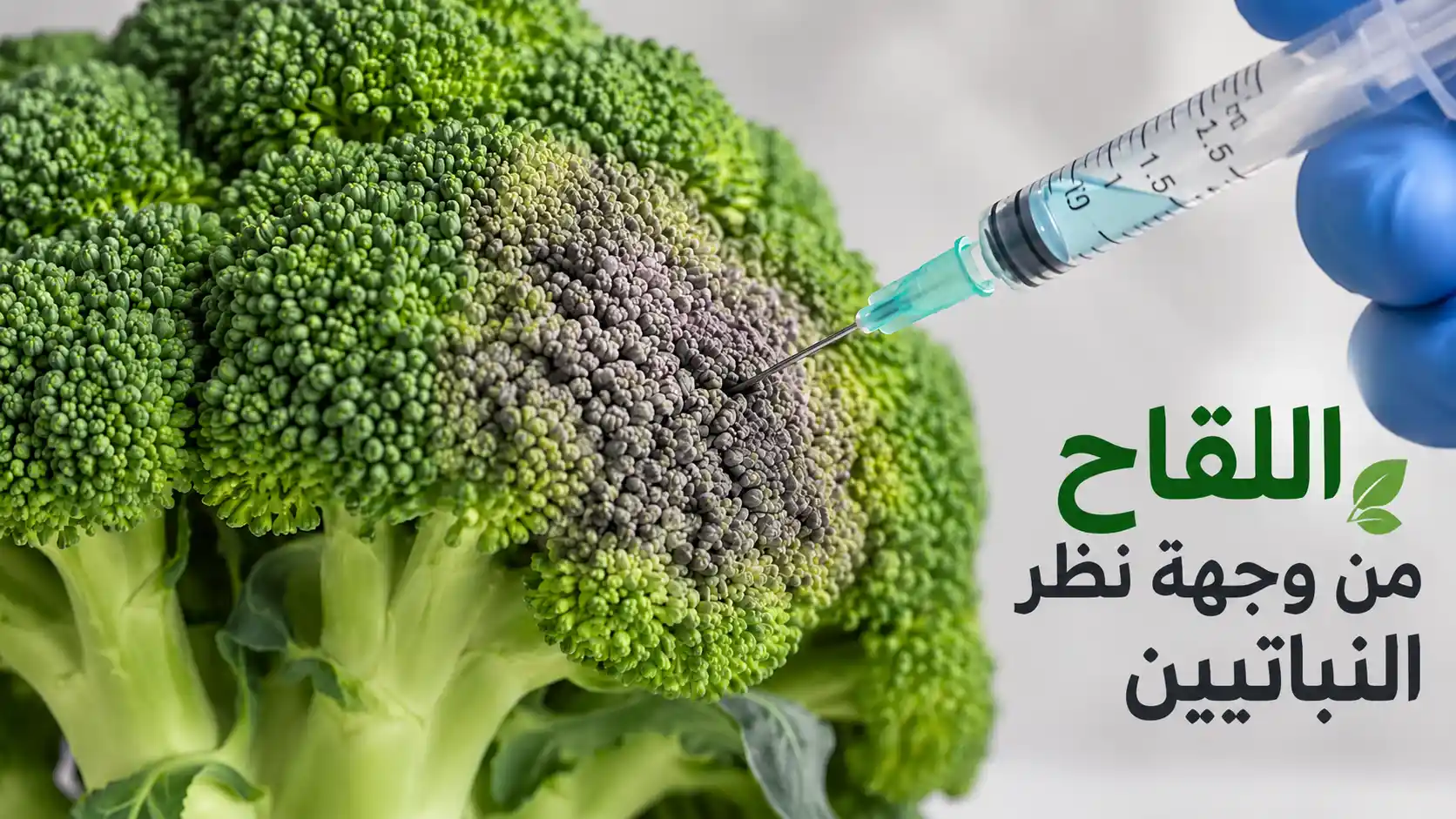 المطبخ النباتي • حياة نباتية موقع ملتقى النباتيين، حياة نباتية من أجل الحيوان الانسان البيئة والسلام هل اللقاحات نباتية؟ اللقاح من وجهة نظر النباتيين