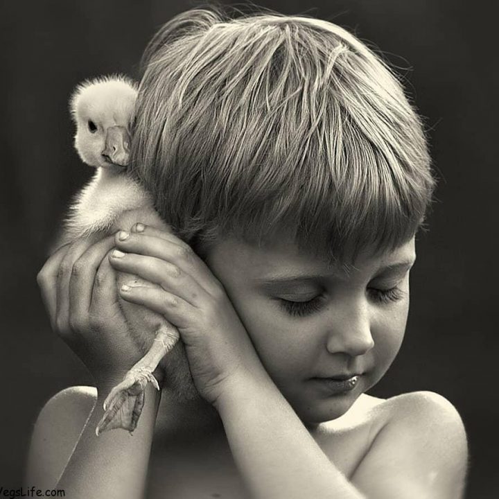 طفل يستمع لدقات قلب صديقه البط